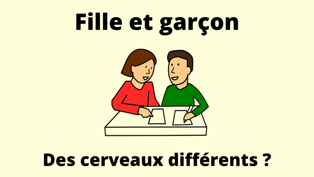 fille garçon cerveau