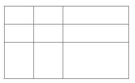 Rectangle Neurovision