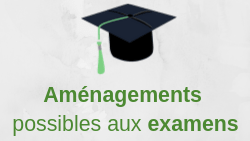 Dyslexie, dyspraxie, dysphasie, TDAH... aménagements aux examens amenagements examen dysmoi