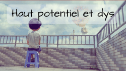 dys hp haut potentiel dysmoi