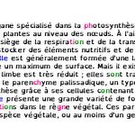 Extrait Mise En Evidence De Sons 150x150 1