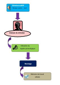 mémoire de travail