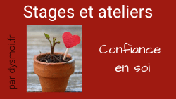 Les conséquences de la dyslexie Atelier Stage Confiance Dysmoi 1