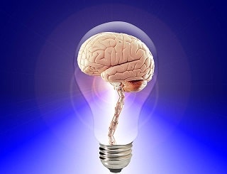 Utiliser ses connaissances cerveau