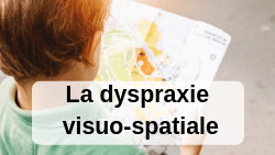 Dyspraxie Visuo-Spatiale (DVS) dvs dysmoi