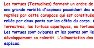 Dysvocal Texte 2 Couleurs 1 300x155