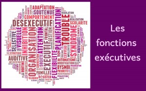 fonction executive nuage