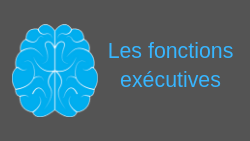 Fonctions Executive Page Dysmoi