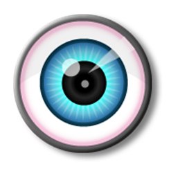 Dyslexie, dyspraxie, TDAH, dysphasie... Dys et troubles neurovisuels Oeil 1