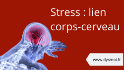 stress lien cerveau corps