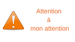 Tdah Attention Dysmoi 1