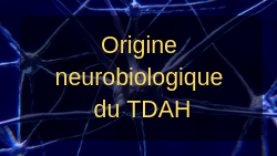 tdah neuro dysmoi