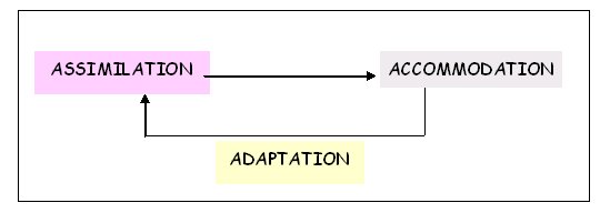 Assimilation