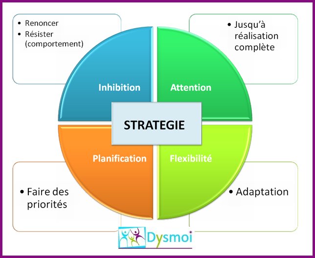 Dys et fonctions exécutives : quel lien ? les fonctions exécutives